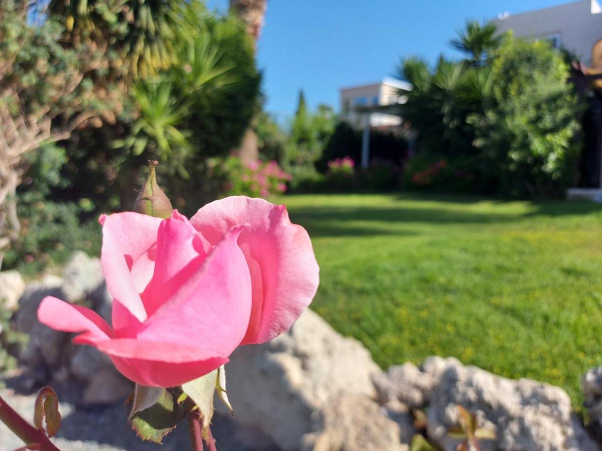 Coral Bay Suite Cyprus 외부 사진